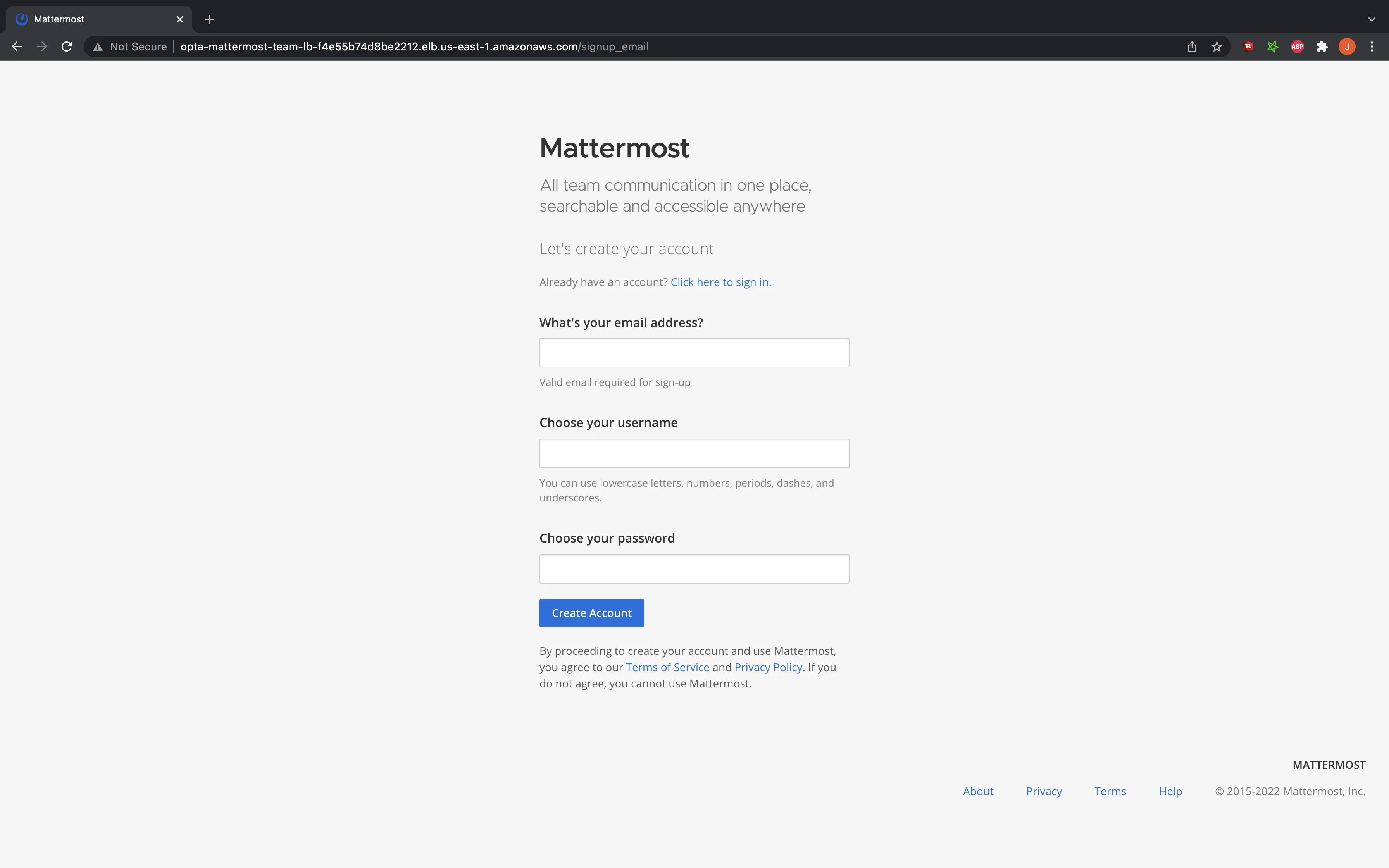 Mattermost site start up