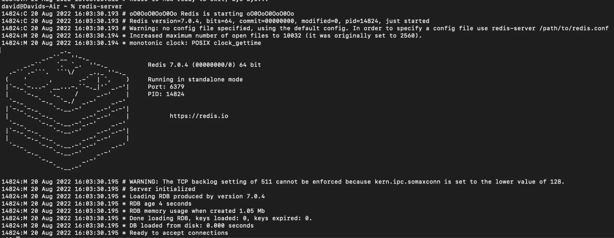 implementing caching in NodeJS Applications with Redis