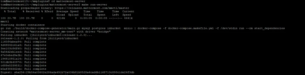 Cloning and installing the Mattermost server