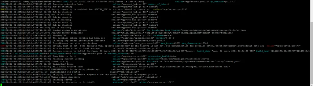 Clone and install the Mattermost server