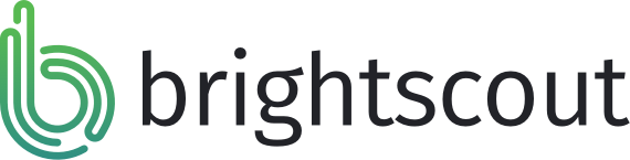 Brightscout