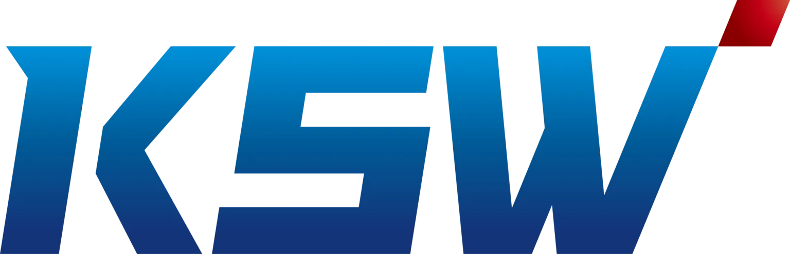Kokusai Software