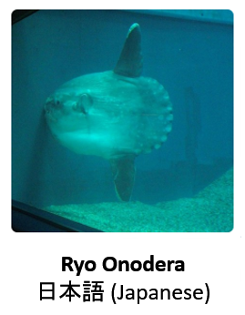 localization_blog_japanese